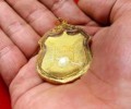 龙婆doo2528四面神